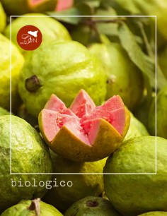 Guava Rosa BIO