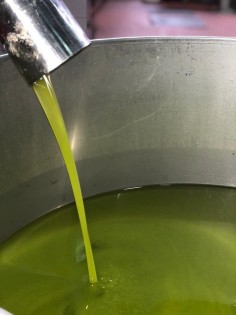Olio extra vergine di oliva 2